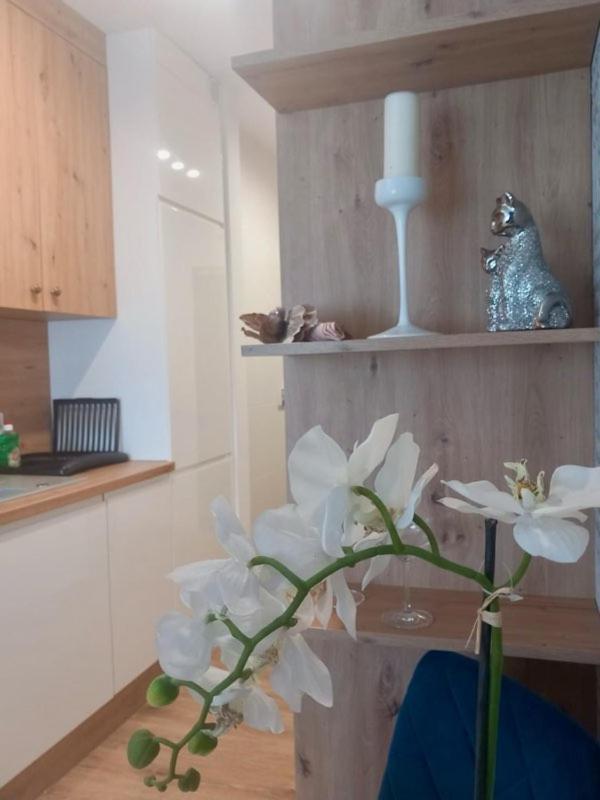 Apartment Jaworska 4 *